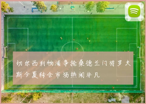 切尔西利物浦争抢桑德兰门将罗夫斯今夏转会市场热闹非凡